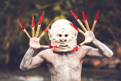 https://tribesofpapuanewguinea.com/