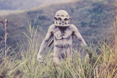 https://tribesofpapuanewguinea.com/2